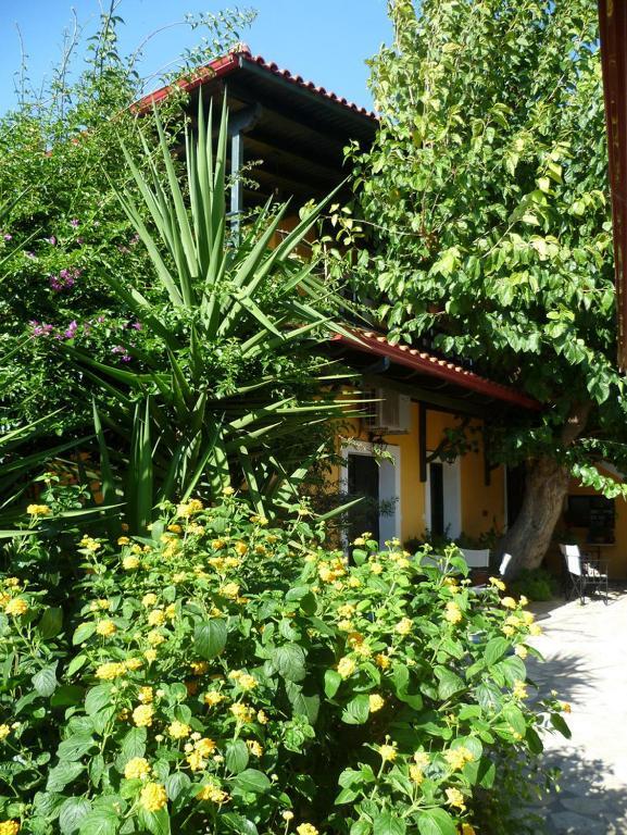 أكراتا Meliti Guesthouse المظهر الخارجي الصورة