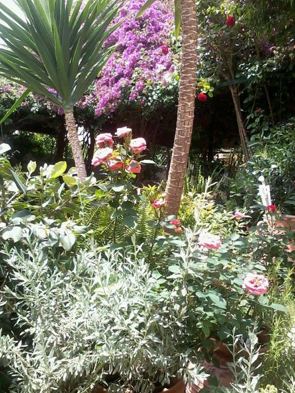 أكراتا Meliti Guesthouse المظهر الخارجي الصورة