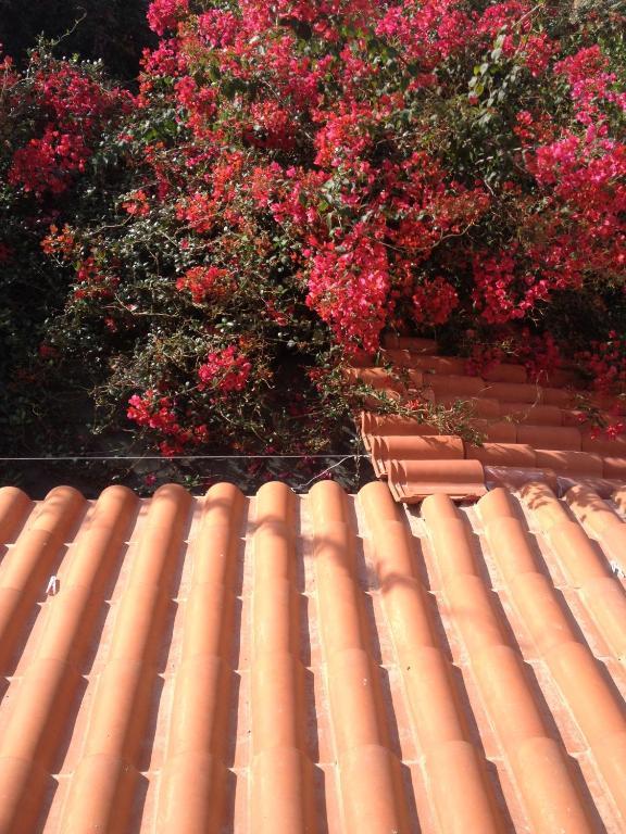 أكراتا Meliti Guesthouse المظهر الخارجي الصورة